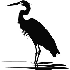 Vector image of pelican silhouette