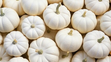  The background of many pumpkins is in White color