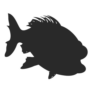 recommend clip art: Piranha