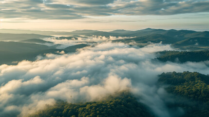 Fototapeta premium Aerial forest low mountains landscape in the morning gold light with lots of low clouds into the valleys and a hazy sky