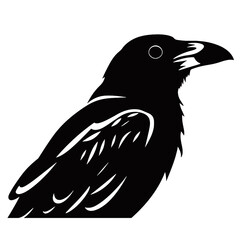Obraz premium raven Silhouette 