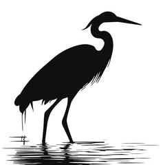 
Vector image of pelican silhouette