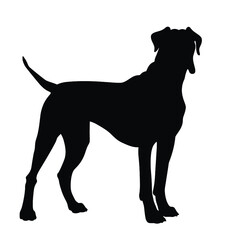 
Great dane silhouette