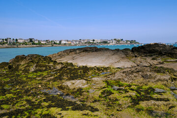 Rocky coast with algae at dinard, a commune in the Ille-et-Vilaine department, Brittany, northwestern France. 
