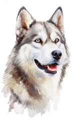Fototapeta premium Watercolor portrait of a cute happy husky dog.