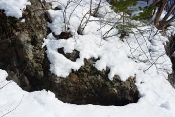 A view of a garden with snow stuck on it.