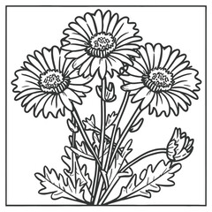 Flower Coloring Page Outline Vector 