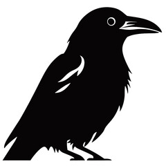raven Silhouette