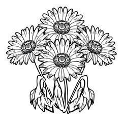 Flower Coloring Page Outline Vector 