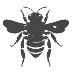 wasp silhouette 