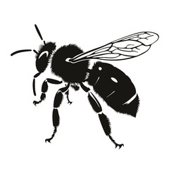 wasp silhouette 