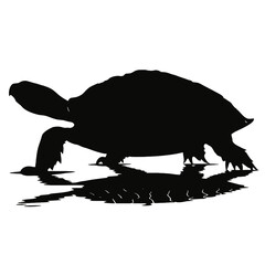 turtle icon silhouette