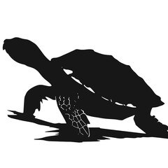 turtle icon silhouette
