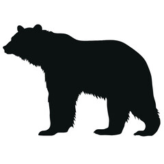 Silhouette bear isolated on white background