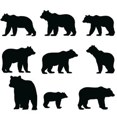 Silhouette bear isolated on white background