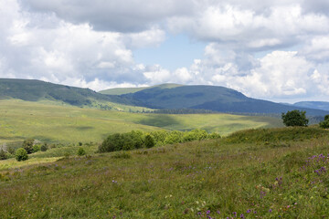 Walking in the highlands in a natural park, during the flowering of plants and warm weather.