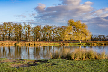 Bright sunny February morning at Bushy Park