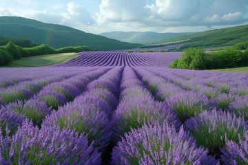 Foto op Plexiglas A majestic field of violet lavender stretches towards the distant mountains, a peaceful and vibrant landscape embraced by the clear blue sky and rolling clouds © familymedia