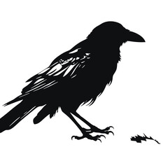 crow  Silhouette 