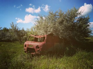 An old red farm truck is slowly rusting away on a farm. Time-forgotten cars far away from all. 