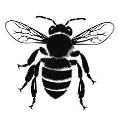 
  wasp silhouette 