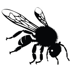 
  wasp silhouette 