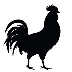 rooster   Silhouette