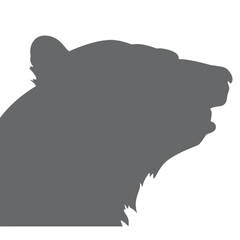 bear Silhouette