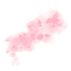 Fototapeta premium pink rose petals