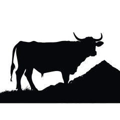 silhouette of a cow