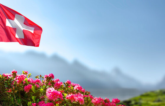 Schweizer Flagge mit Alpenrosen und Berg