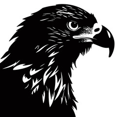 bald eagle head