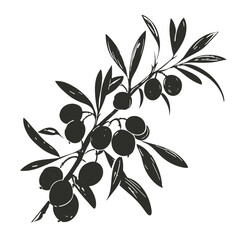 vector illustration of olive branch