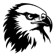 eagle head isolated on white