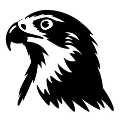 bald eagle illustration
