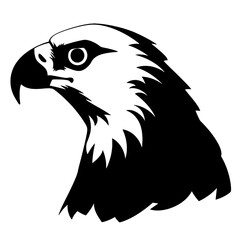 bald eagle illustration