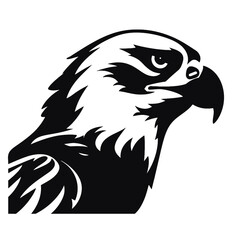 eagle head isolated on white