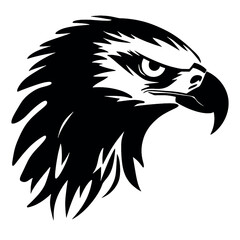 eagle head isolated on white