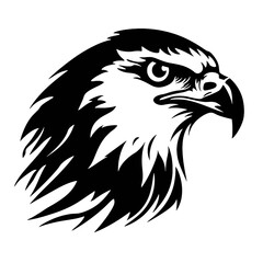eagle head isolated on white
