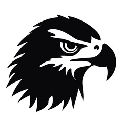 bald eagle head