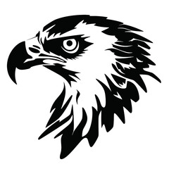 eagle head vector illustration