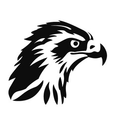 eagle head isolated on white