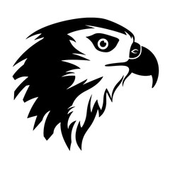 bird of prey