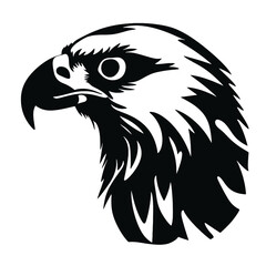 bald eagle vector