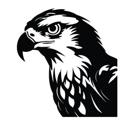 Fototapeta premium eagle head silhouette