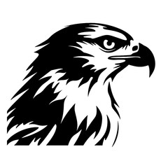 eagle vector illustration