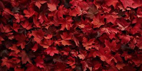 red leaves background. red maple leaves - Powered by Adobe