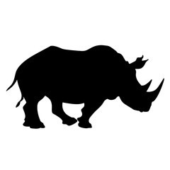 rhino on white background