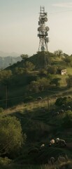 Obraz premium A cellular antenna stands on a hill. Animals graze in the pasture around the antenna. Mobile communications 5G