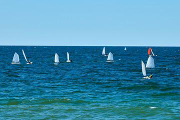 Blue sea sailing regatta, nautical spectacle sport sailing competition among yacht club...